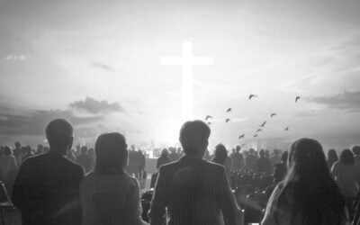 PARA QUIÉNES SON LOS AY?