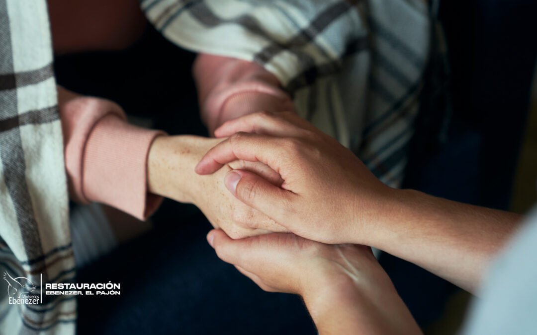 TRANSFERENCIAS BABILONICAS