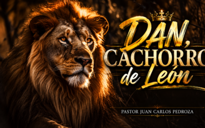 DAN, CACHORRO DE LEÓN