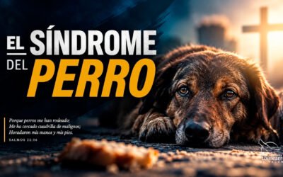 EL SÍNDROME DEL PERRO