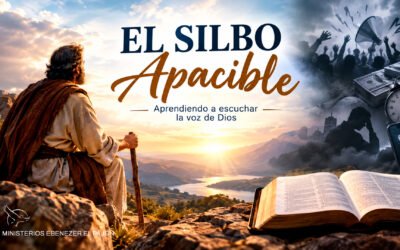 EL SILBO APACIBLE